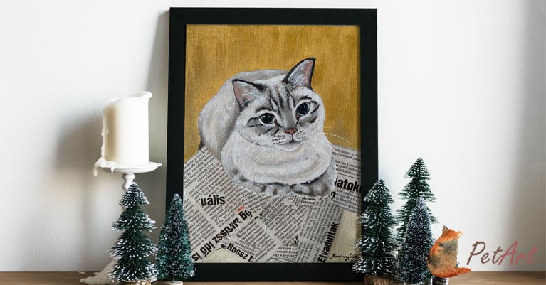 Eláruljuk a titkot! Ez a legjobb karácsonyi ajándék macskaimádóknak!